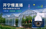 开宁设施大棚智慧农业慢直播解决方案
