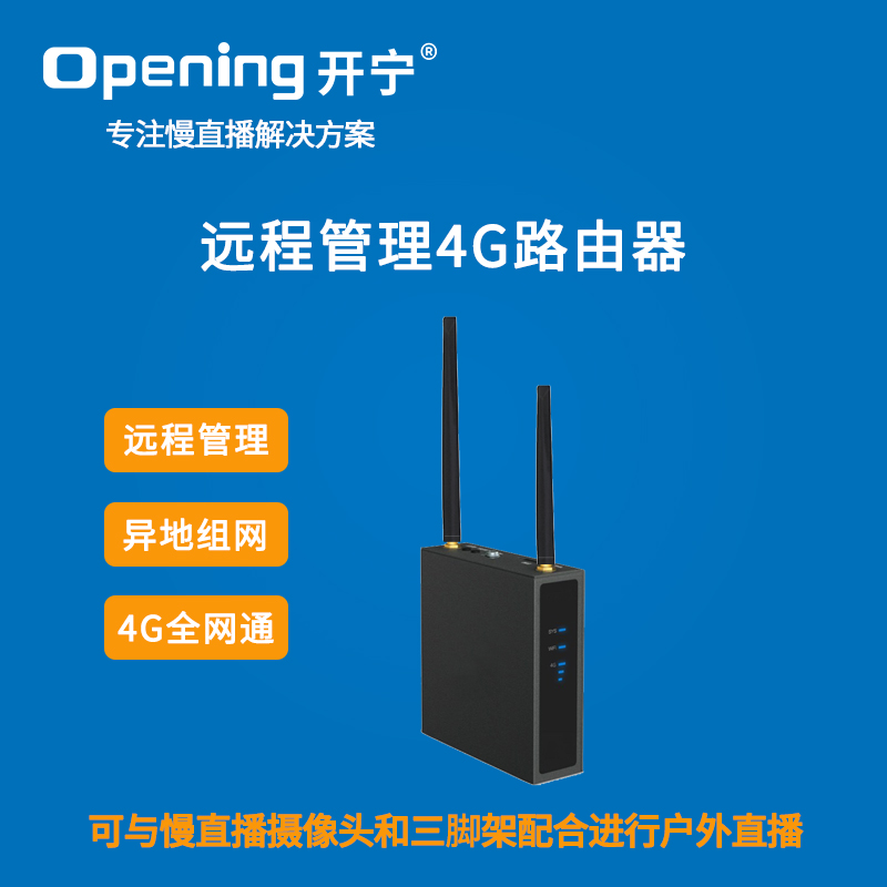 异地组网4G路由器 